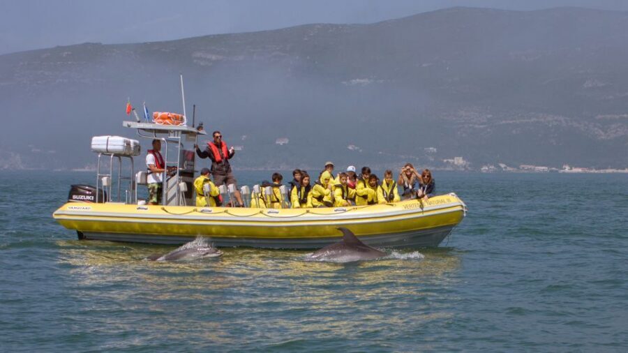 Lisbon: Arrábida Natural Park Dolphin Watching Boat Tour - Key things to know before you go