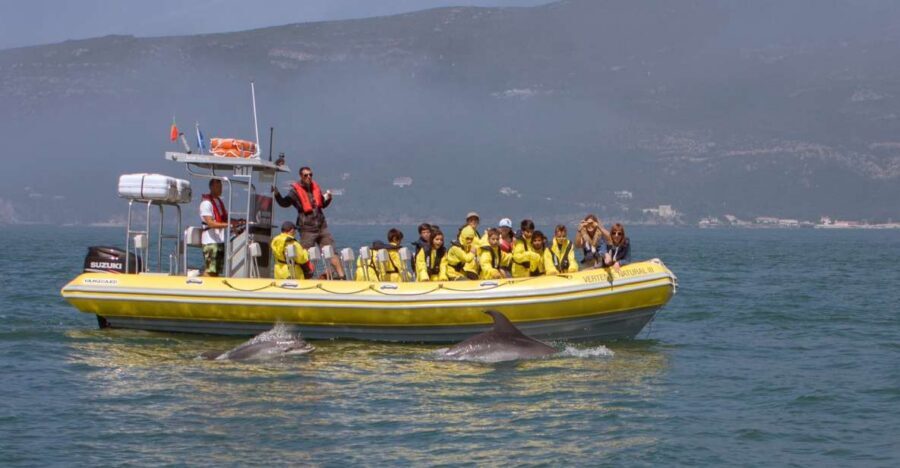 Lisbon: Arrábida Natural Park Dolphin Watching Boat Tour - On the Water in a Semi-Inflatable Boat: Views, Wind, and Comfort