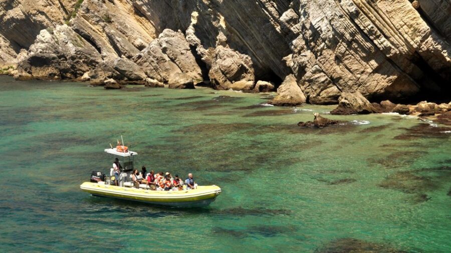 Lisbon: Arrábida Natural Park Dolphin Watching Boat Tour - Should You Book This Lisbon Dolphin Watching Boat Tour?