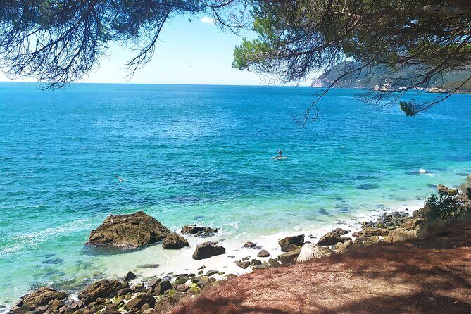 Lisbon: Arrábida Park, Sesimbra, Christ the King private tour - Serra da Arrábida: the N379 drive and a natural park with serious scale