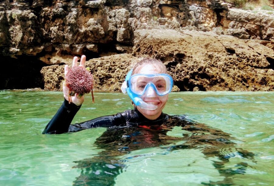 Lisbon: Arrábida Snorkeling Adventure - Key things I’d focus on before you go