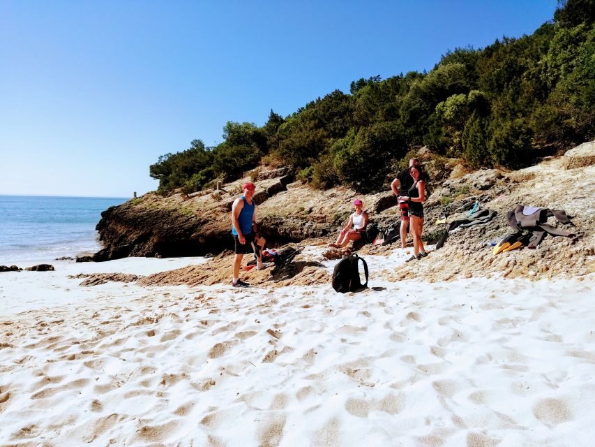 Lisbon: Arrábida Snorkeling Adventure - Arrábida from Lisbon: why this 5-hour trip feels worth it