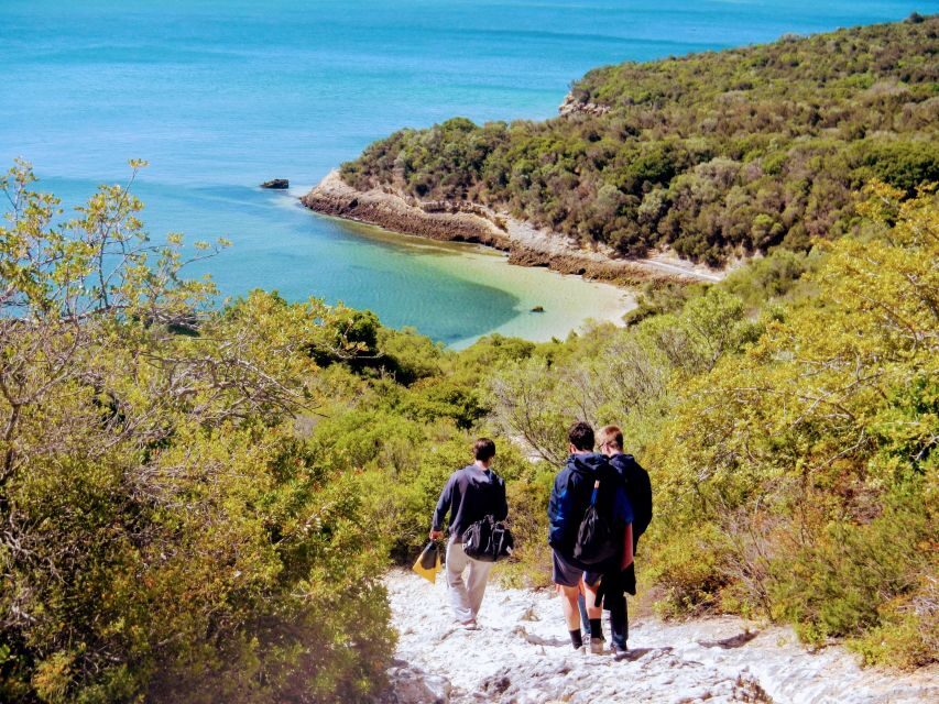 Lisbon: Arrábida Snorkeling Adventure - Fossil cliffs and coastal viewpoints: what to look for on the way