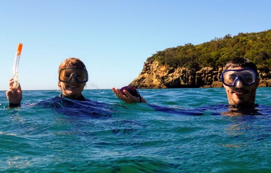 Lisbon: Arrábida Snorkeling Adventure - Meet your guide: small-group pacing and local know-how