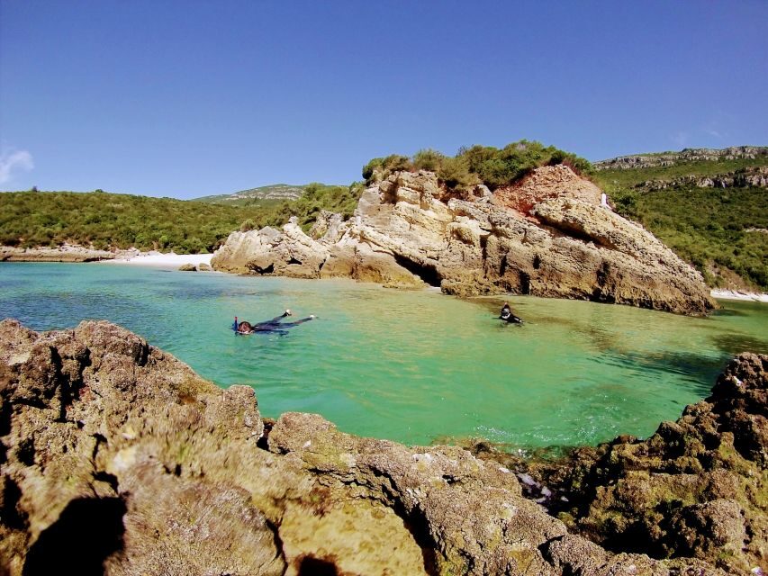 Lisbon: Arrábida Snorkeling Adventure - Transportation, meeting point, and where the day starts