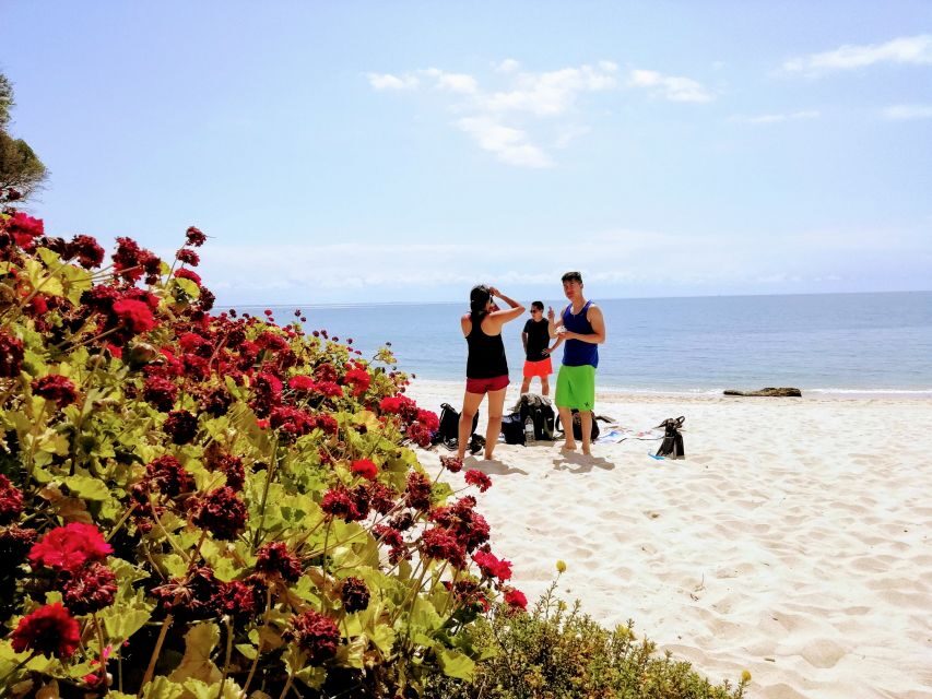 Lisbon: Arrábida Snorkeling Adventure - Food and drinks: plan your timing