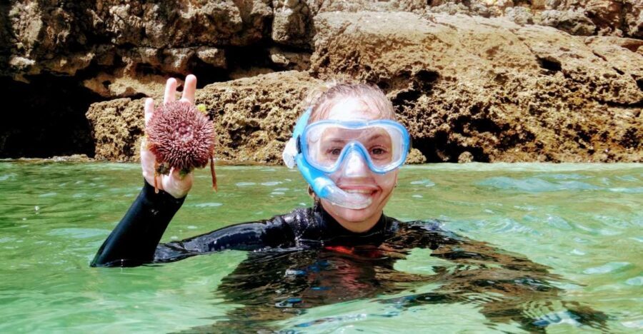 Lisbon: Arrábida Snorkeling Adventure - The day plan: sightseeing by the coast, then into Arrábida waters