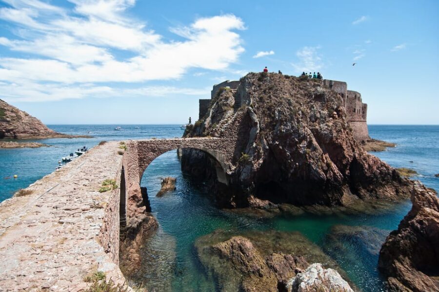 Lisbon: Berlenga Island Full Day Tour - What the day feels like overall: time, travel, and pacing