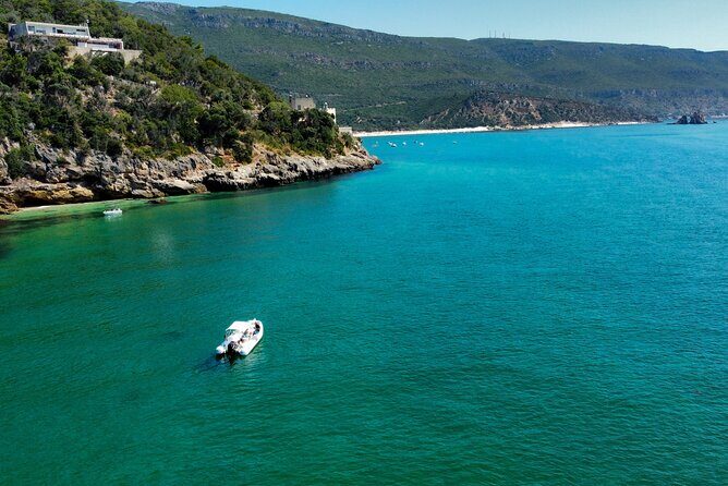 Lisbon: Boat Tour in Paradise - Dolphin Chances in the Sado River: How to Manage Expectations