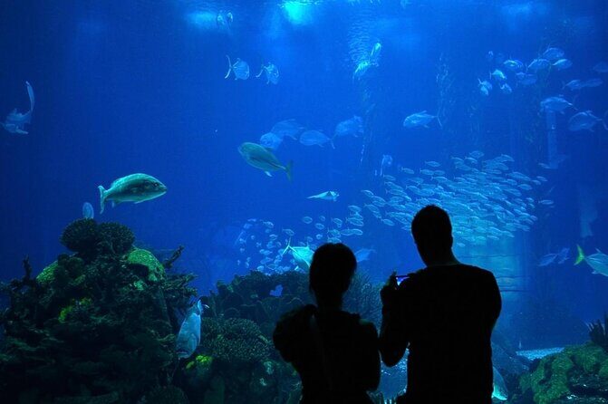 LISBON DAILY TOUR in a Vintage Jeep with FOOD & DRINK Tastings - Key highlights worth your attention