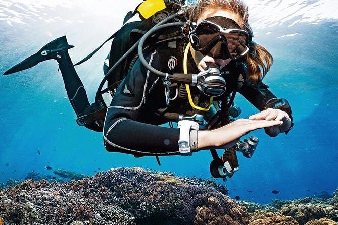 Lisbon Eco-Try Dive - Diving Baptism - Key highlights from this eco scuba try-out