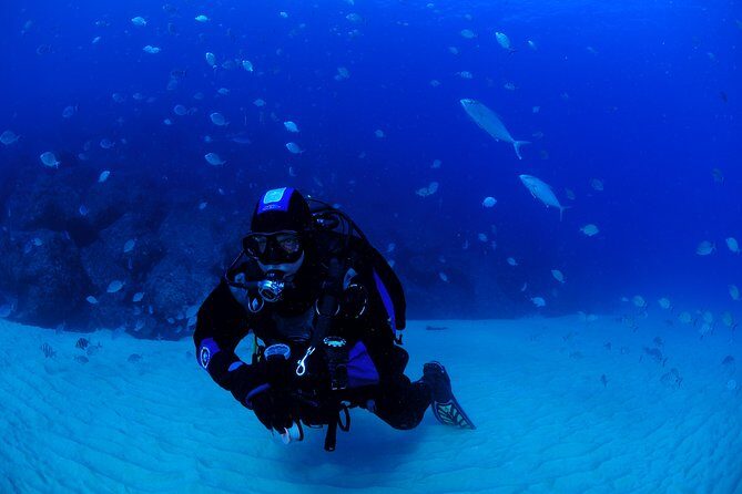 Lisbon Eco-Try Dive - Diving Baptism - Getting set at Anthia in Sesimbra (the part that makes or breaks it)