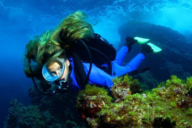 Lisbon Eco-Try Dive - Diving Baptism - Safety that feels built-in, not optional
