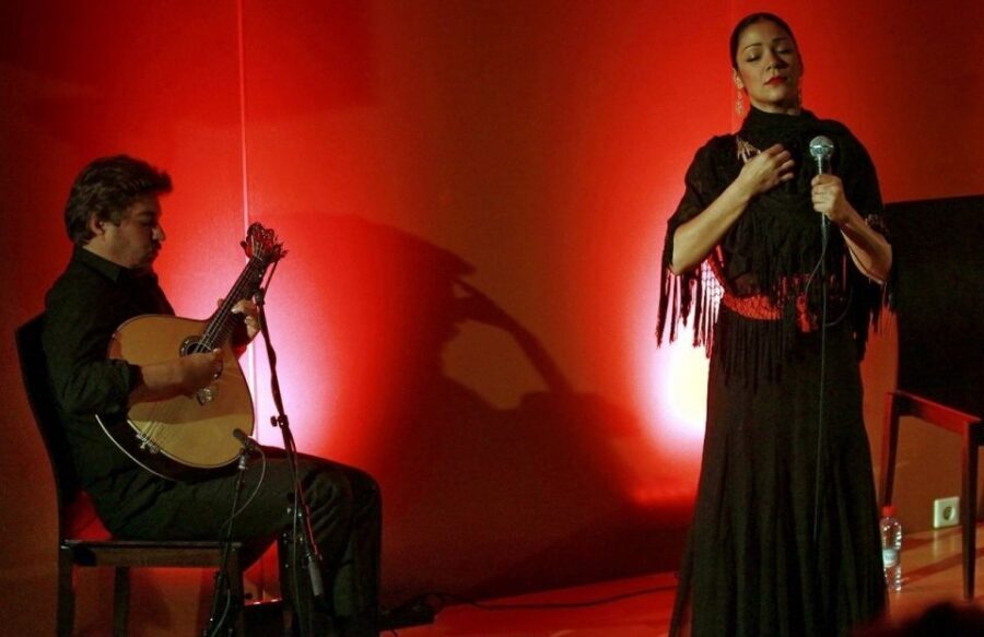 Lisbon: Evening City Tour with Dinner and Live Fado Show - Key things that make this Lisbon night tour worth your time