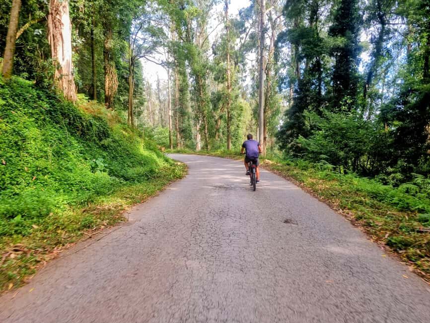 Lisbon: Explore Lisbon’s Green Lung & Belém by E-Bike - Bianchi e-bikes, included gear, and simple safety