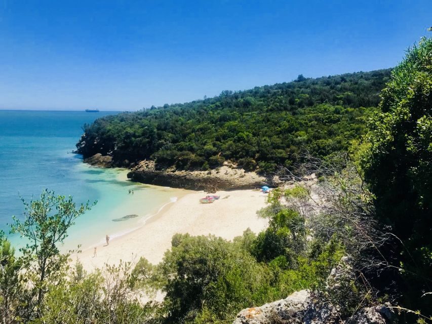 Lisbon: Full-Day Arrabida Kayak Tour with Picnic - Key highlights worth circling