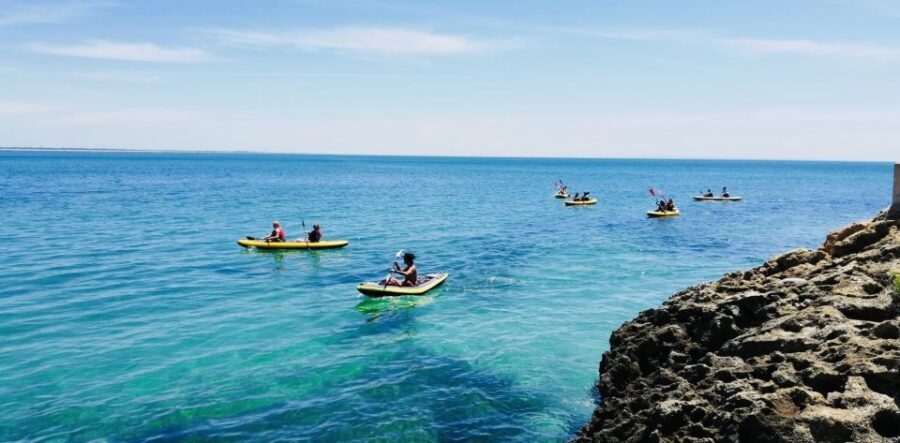 Lisbon: Full-Day Kayak Tour with Picnic and Transfer - Who this Lisbon kayak tour is best for