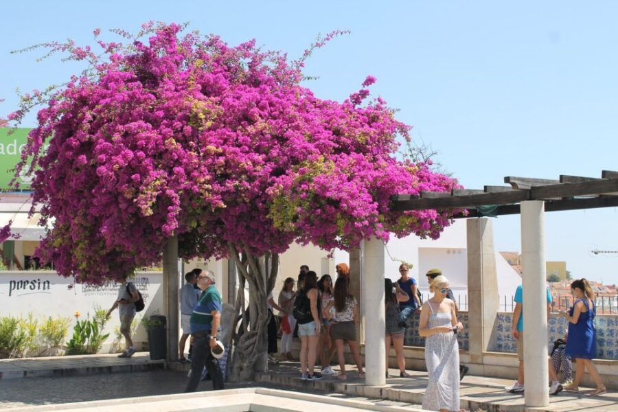 Lisbon: Full-Day Private Walking Sightseeing Tour - Key highlights at a glance