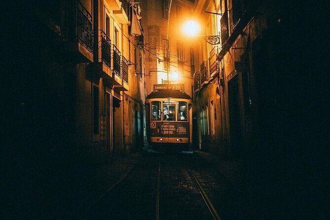 Lisbon Guided Tour with Live Fado Show and Traditional Dinner - Who should book this Lisbon Fado night tour