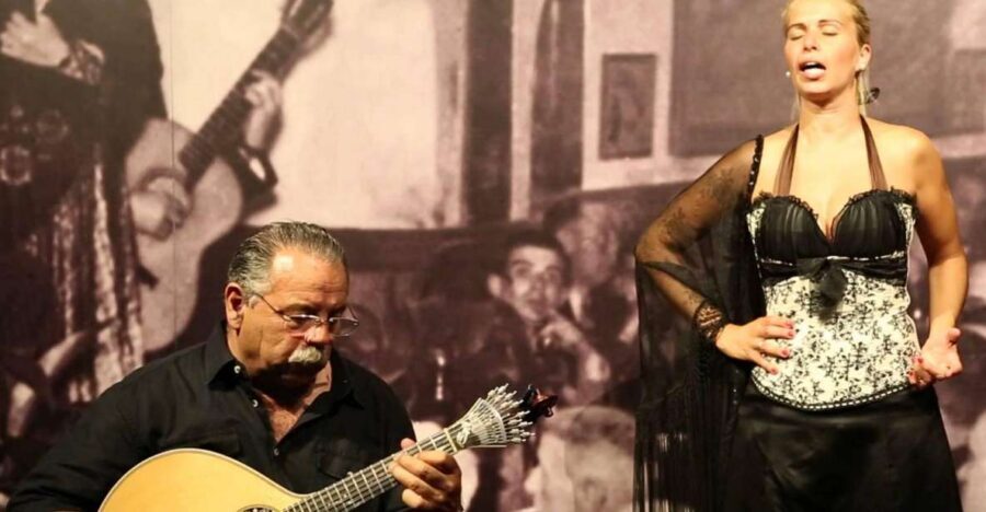 Lisbon: Half-Day Night Group Tour w/ Fado Dinner Show - The dinner reality check: what you get, and what can disappoint