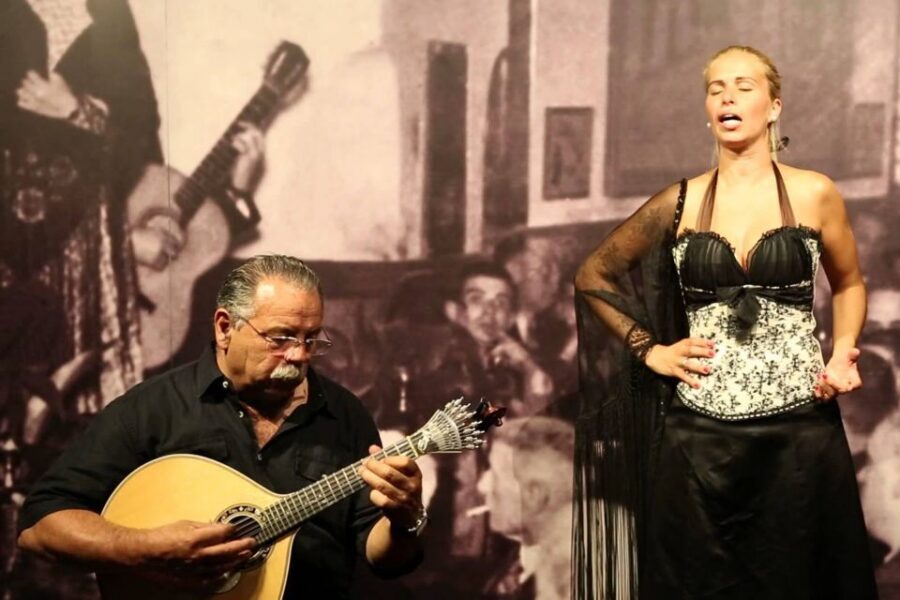 Lisbon: Half-Day Night Group Tour w/ Fado Dinner Show - Who should book this Lisbon night tour?