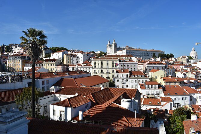Lisbon Half-day Tour - Price and value: does $176.61 make sense for this 4-hour format?