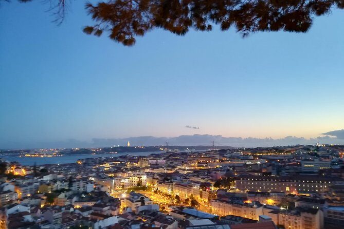 Lisbon Highlights PRIVATE Half Day Tour with a local Guide - Comfort, Timing, and the Value of a Private Local Guide