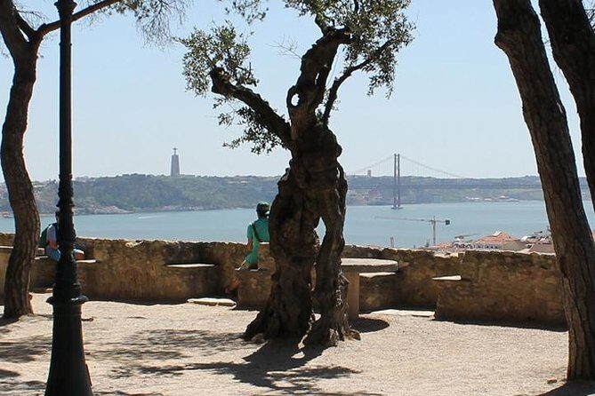 Lisbon Highlights Walking Tour - Bairro Alto and the lift tram: Lisbon’s bohemian up-close
