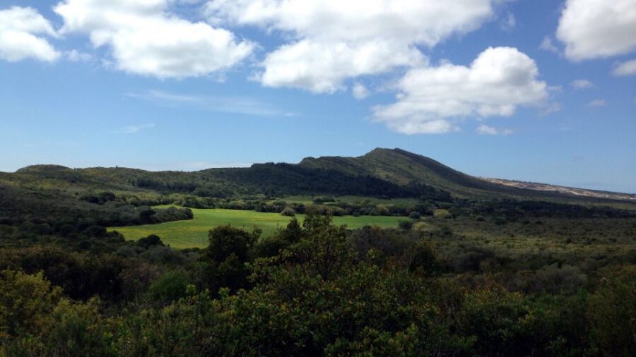 Lisbon: Hiking in Arrábida Natural Park - The trail you’re actually walking: distance, climbing, and what medium means
