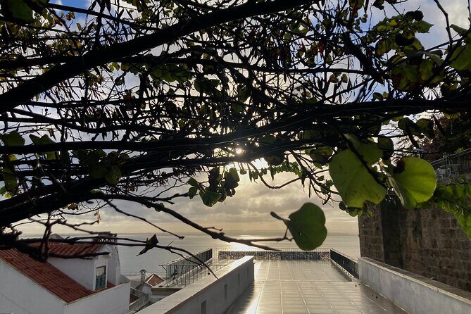 Lisbon Off The Beaten Track and Main Sights Private Walking Tour - Church of St Anthony and the question everyone smiles about
