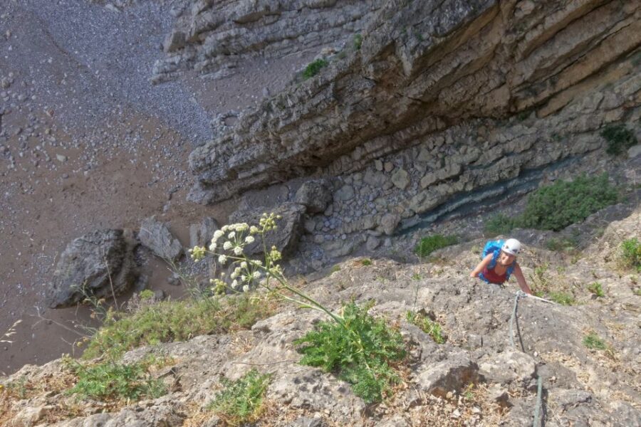 Lisbon or Sesimbra: Guided Rock Climbing Tour in Arrábida - What you do during the climbing day (and what the guide actually does)