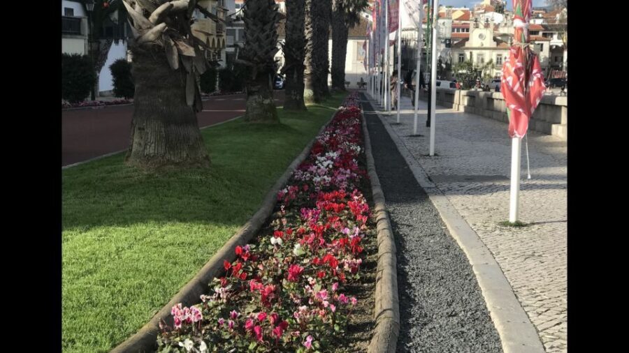 Lisbon: Pena Palace, Sintra, Cascais, and Cabo Roca Day Trip - Why Pena Palace, Sintra, Cascais, and Cabo all fit one day from Lisbon