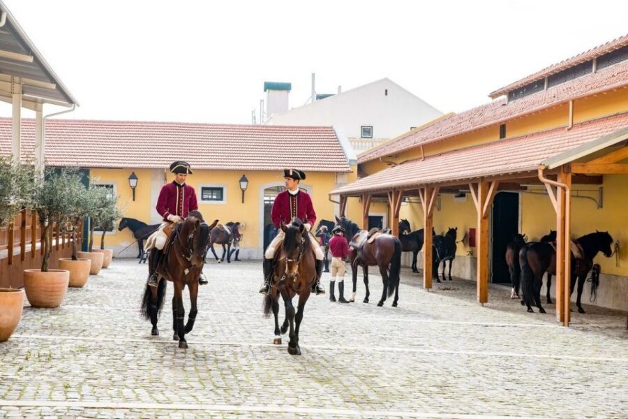 Lisbon: Portuguese Riding School Trainig with Lusitano Horse - Key Points You Should Know Before You Go