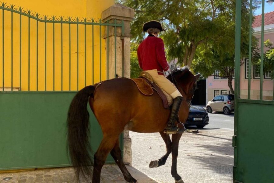 Lisbon: Portuguese Riding School Trainig with Lusitano Horse - Period-Costume Warm-Ups: Rhythm and Resourcefulness on the Ground