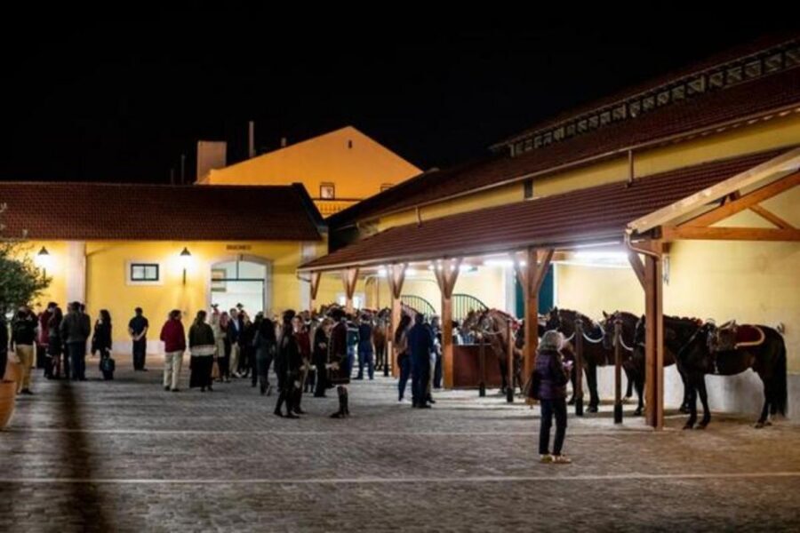 Lisbon: Portuguese Riding School Trainig with Lusitano Horse - Equestrian Art Rehearsals: From Training Into Court Choreography