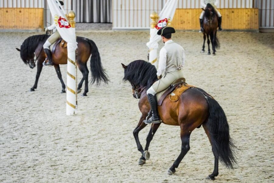 Lisbon: Portuguese Riding School Trainig with Lusitano Horse - Audio Guide: Your Best Friend in Stable-Mode