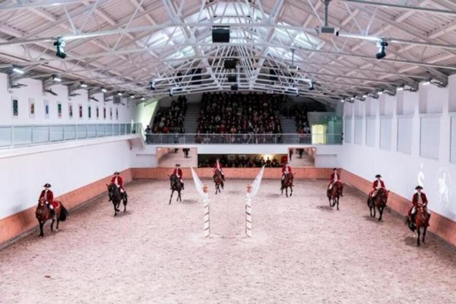 Lisbon: Portuguese Riding School Trainig with Lusitano Horse - Photography, Etiquette, and What to Bring