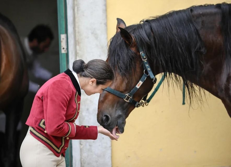 Lisbon: Portuguese Riding School Trainig with Lusitano Horse - Price and Value for a Lisbon Horse Morning