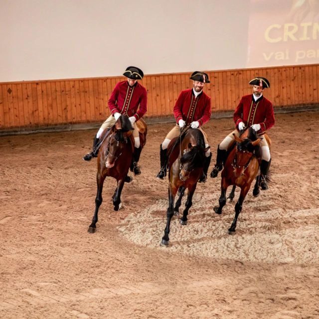 Lisbon: Portuguese Riding School Trainig with Lusitano Horse - Henrique Calado Riding Ring: Where You Really See the Work