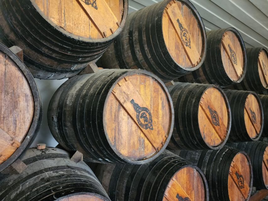 Lisbon: Private All Inclusive Setúbal & Arrábida Wine Tour - Key highlights you’ll actually feel
