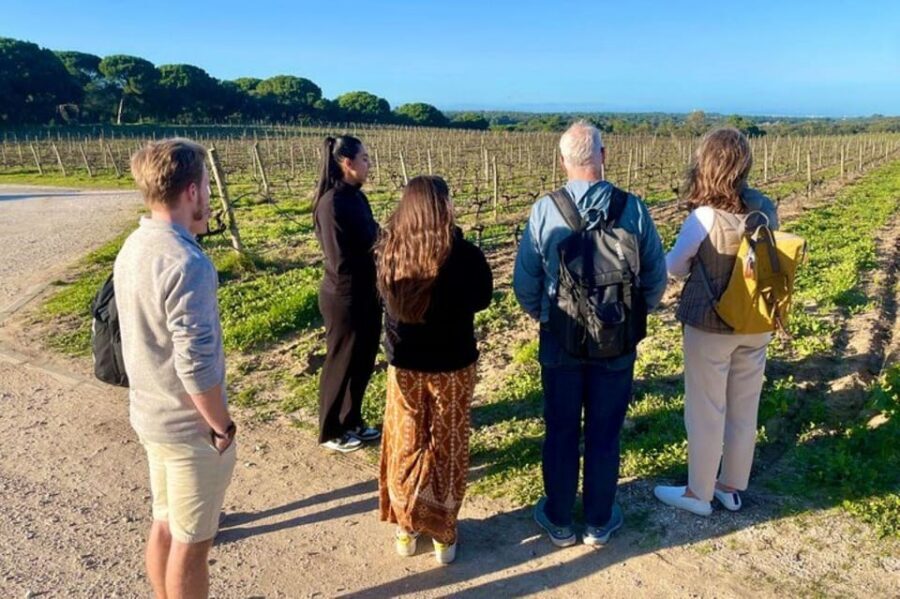 Lisbon: Private All Inclusive Setúbal & Arrábida Wine Tour - Lunch at Azeitão: plan for it because it’s not included
