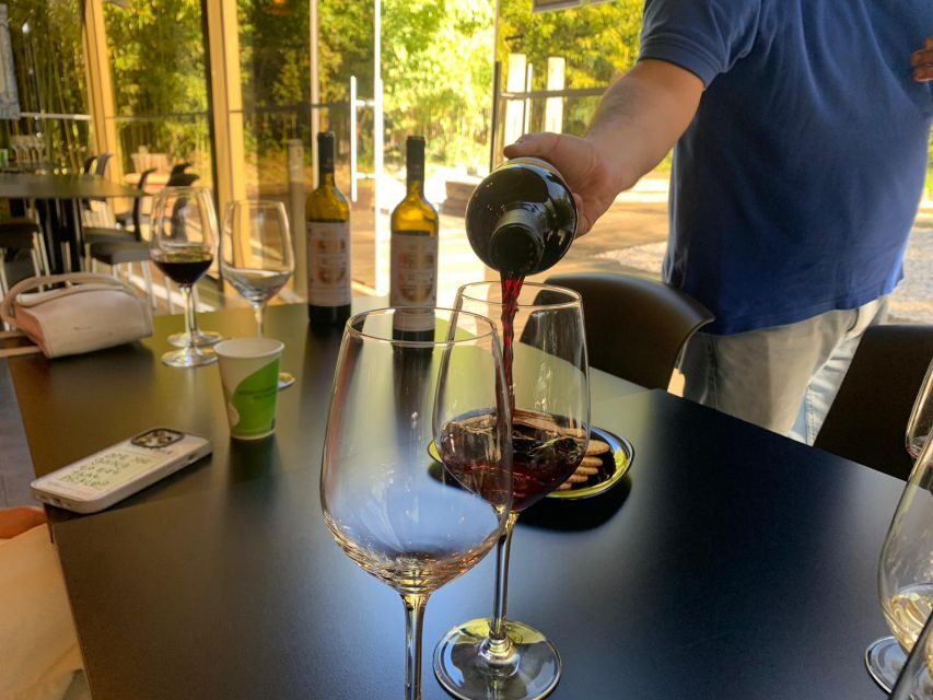 Lisbon: Private All Inclusive Setúbal & Arrábida Wine Tour - The tile and wine combo: why this pairing works