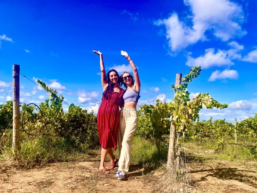 Lisbon: Private All Inclusive Setúbal & Arrábida Wine Tour - Livramento Market in Setúbal: where your appetite gets a head start