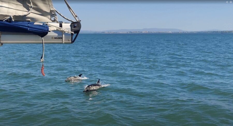 Lisbon: Private Boutique Boat Tour – Sail in Style - The solidarity twist: Educar à Vela makes the trip feel better