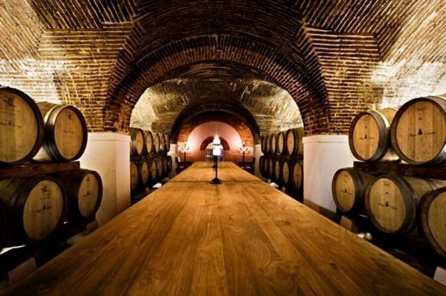 Lisbon: Private Full Day Evora & Alentejo Wine Tour - Cork production at Cortiçarte: Portugal’s material in plain view