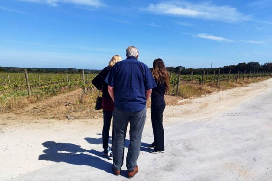 Lisbon: Private Full Day Evora & Alentejo Wine Tour - Winery stops in Alentejo: Cartuxa, Ervideira, and Monte da Ravasqueira