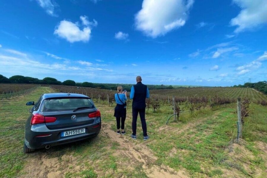 Lisbon: Private Full Day Evora & Alentejo Wine Tour - Timing and pacing: 9 hours, lots of variety
