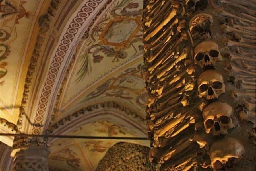 Lisbon: Private Full Day Evora & Alentejo Wine Tour - Price and value: what $351 buys you (and why it can be worth it)