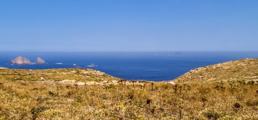Lisbon: Private Full Day Tour to Berlengas Island - Key points to know before you go