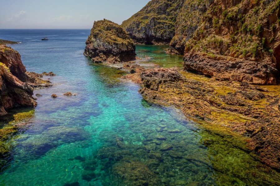 Lisbon: Private Full Day Tour to Berlengas Island - Should you book this Berlengas and Óbidos day tour?